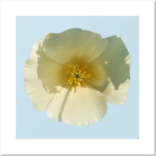 White Poppy 2 Posters and Art